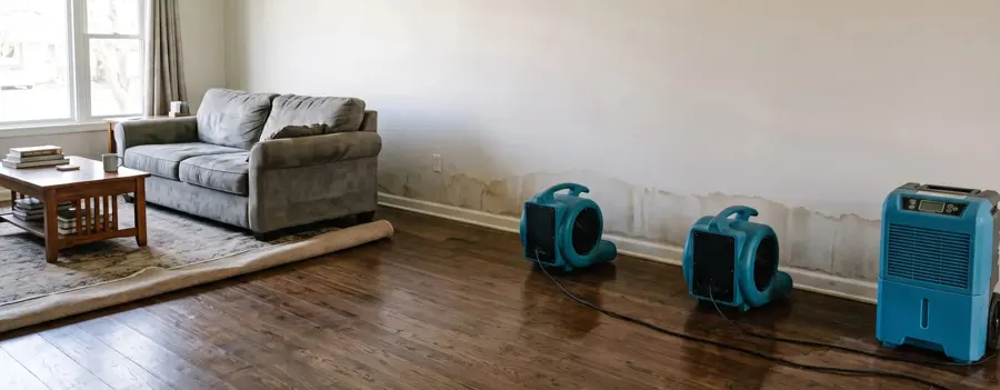 Air movers and a dehumidifier drying a Calabasas, CA home interior