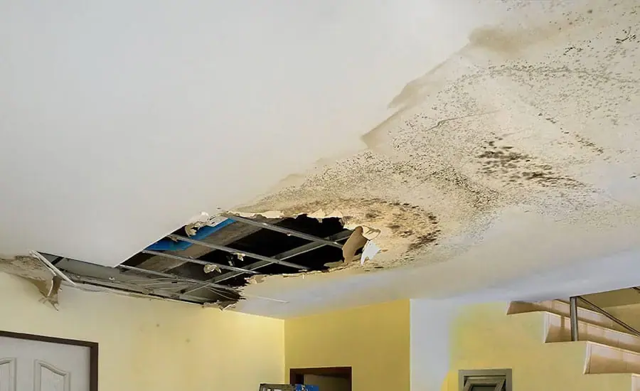 Ceiling Leak Water Damage in Calabasas, CA