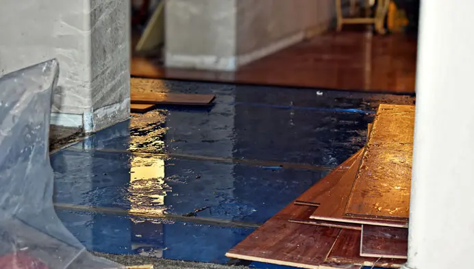 Hardwood Floor Water Damage and Drying in Calabasas, CA