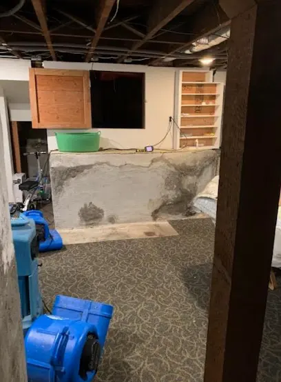 Lower-Level and Wine-Room Water Damage in Calabasas, CA